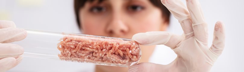 Cultured Meat Facts