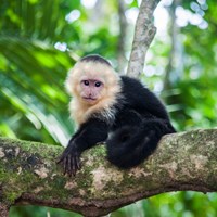 Costa Rica Facts