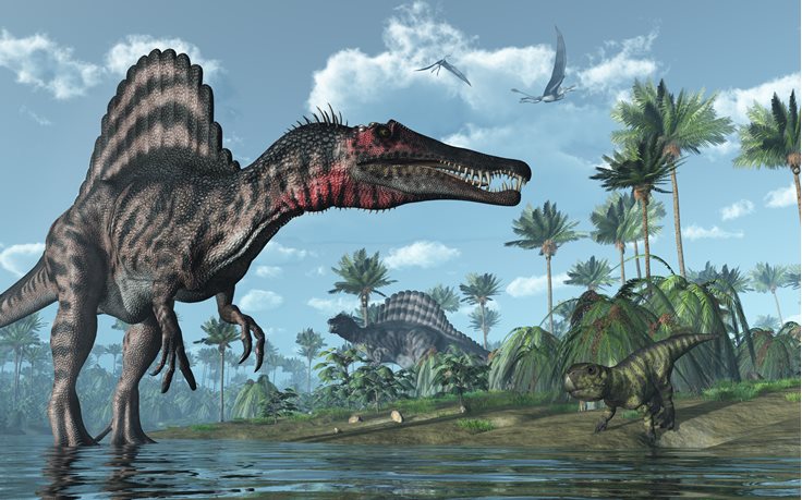 Amazing Dinosaur Fact