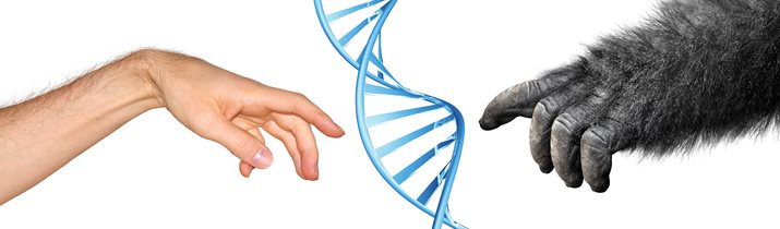 Amazing Evolution Facts
