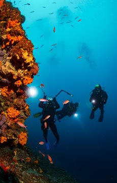 Ocean Scuba Facts