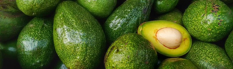 Avocado Facts
