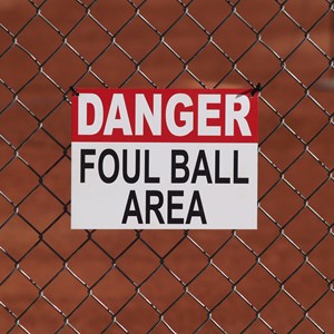 Foul Ball Facts