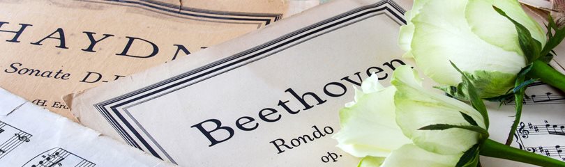 Beethoven Facts