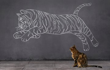 Tiger Evolution