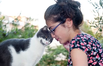 Cat Emotion Fact