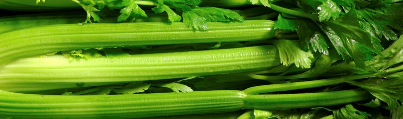 Celery Facts
