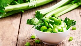 Celery Diet Facts
