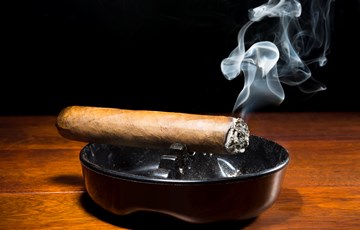 Picasso Cigar Fact