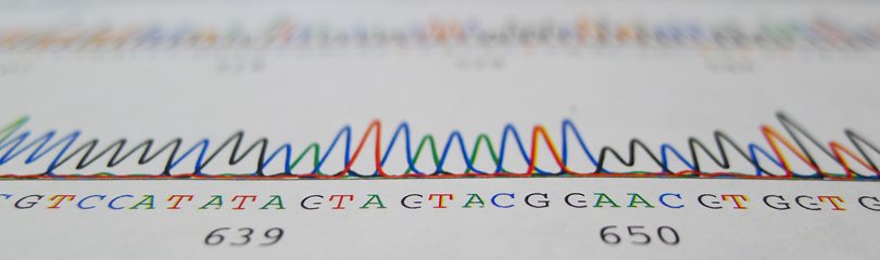 DNA Facts
