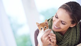 Cat Facts
