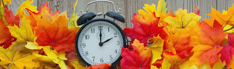 Daylight Saving Time Facts