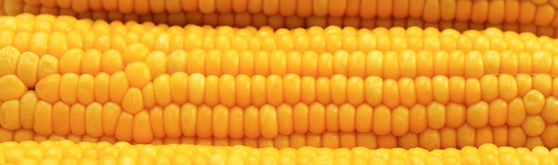Corn Facts