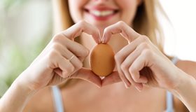 Educational Egg Facts