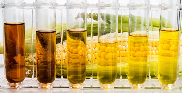 Corn Ethanol