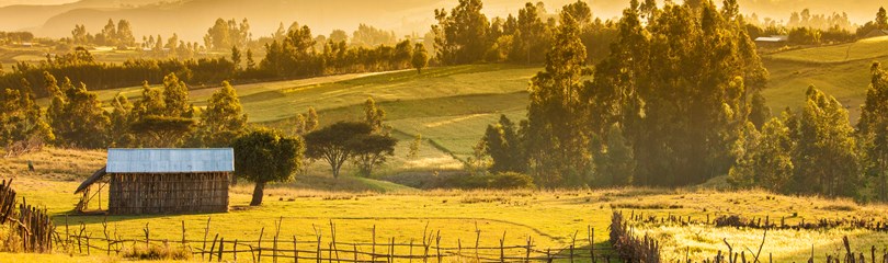 Ethiopia Facts