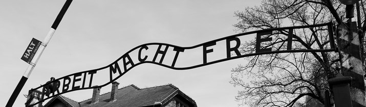 Auschwitz Fact