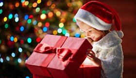 Merry Christmas Facts