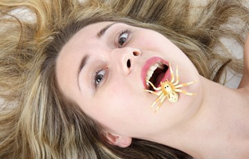 Eating Spider Facts