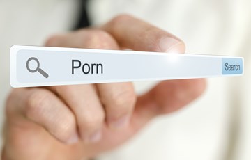 Porn Search Facts