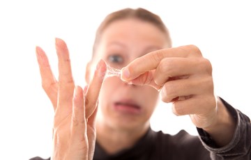 Spider Web Facts