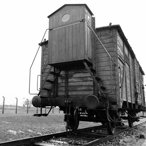 Concentration Camp Facts
