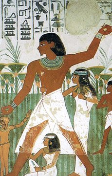 Tilapia History