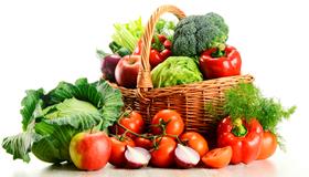 Vegetarian Facts