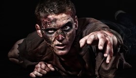 Zombies Facts