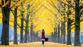 Autumn Season Facts