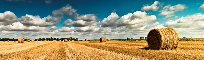 Farming Facts