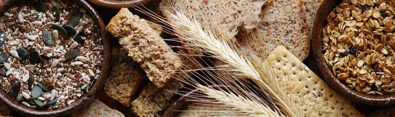 Fiber Facts