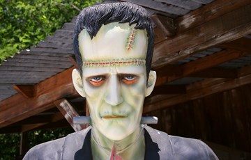 Frankensteins Monter Facts