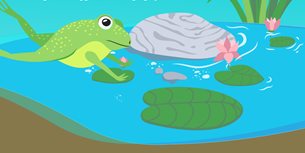 Frog Infographic Thumbnail