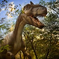 Dinosaur Facts