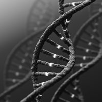 DNA Info
