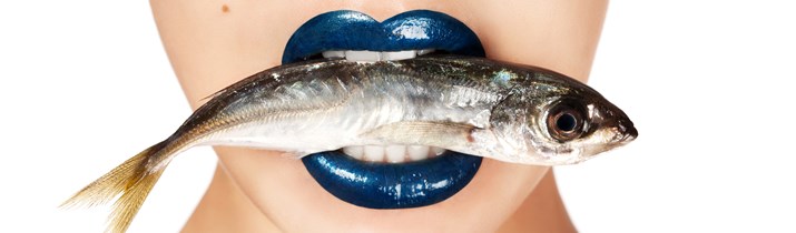 Random Fish Fact
