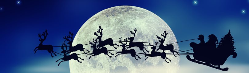 Fun Santa Facts