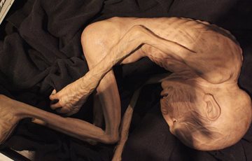 Interesting Voldemort Fact