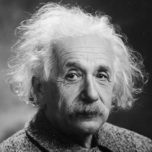 Einstein Beet Fact