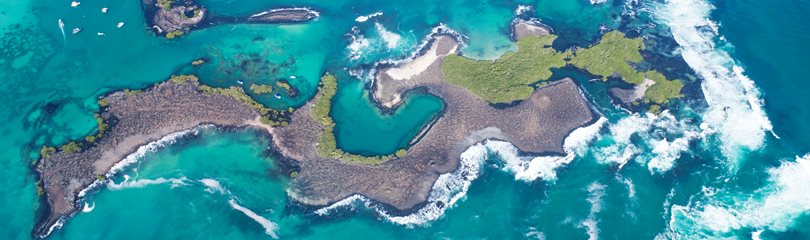 Galapagos Island Facts and fun history