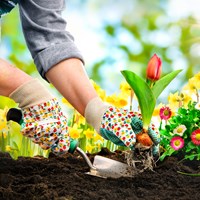 Gardening Facts
