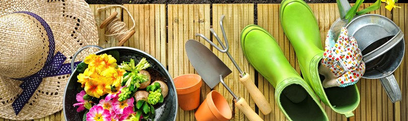 Gardening Facts