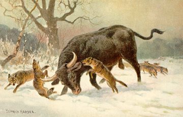 Pleistocene Megafauna