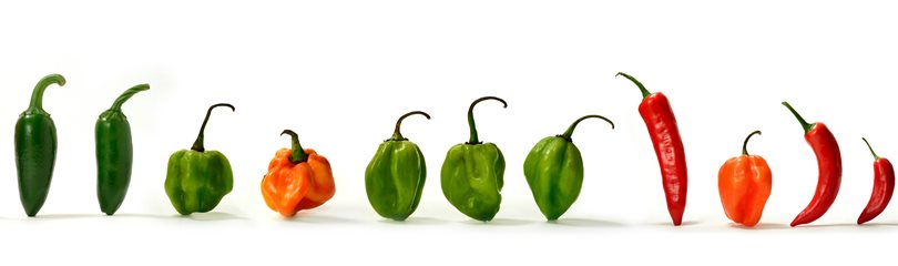 Hot Pepper Facts
