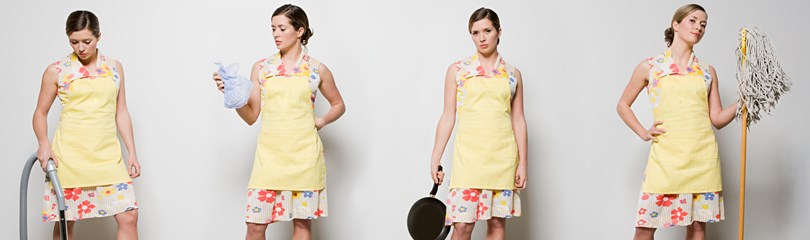Housewife Facts