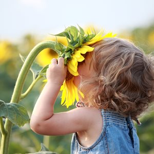 Surprising Happiness Fact