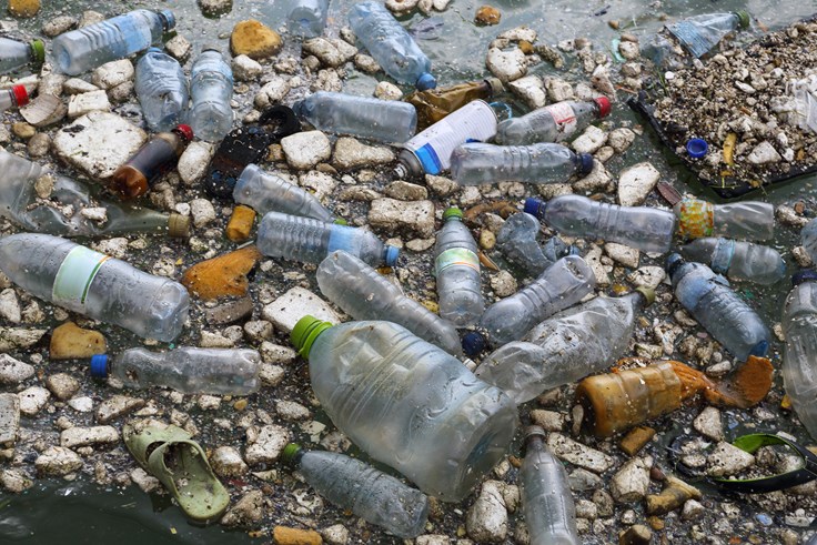 Interesting Ocean Pollution Fact