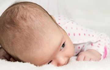 Baby Noggin Fact