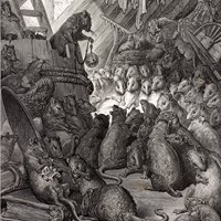 Black Death Facts